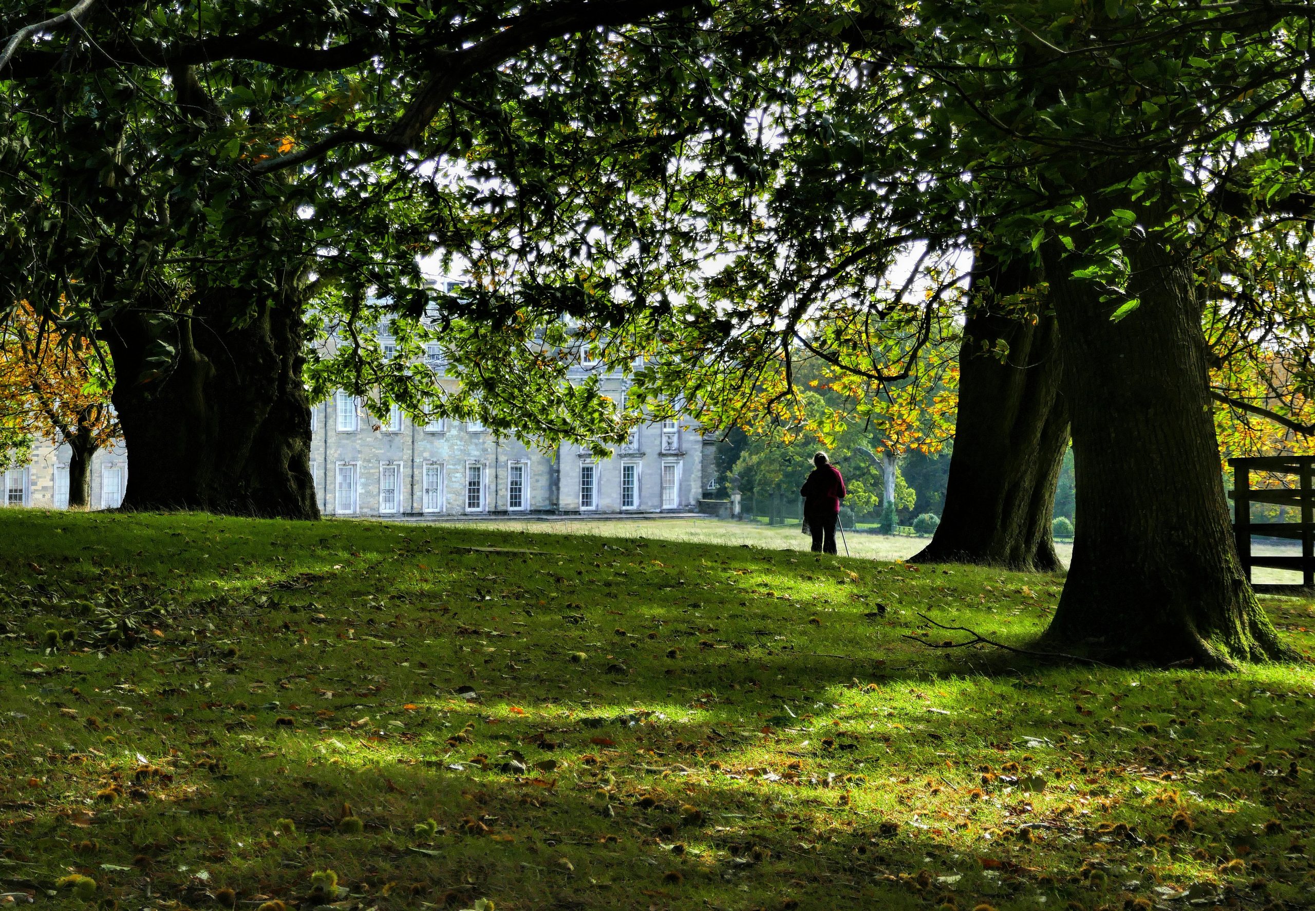 Petworth and the South Downs Golden Triangle: Where West Sussex Reaches Its Peak